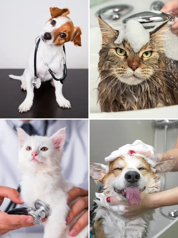 SELECCIONA EL SERVICIO